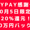 10月05日は「PayPay感謝デー」全額・20％還元！！　1日限りの注意点