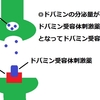 ペルマックス(ペルゴリド)の作用機序・特徴