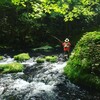 東京にいますが。@長野県