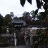 雨の京都 楊谷寺 1