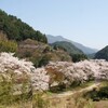 曼荼羅寺 ・ 桜　( 2011-04-10 )　3　風景