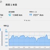 【青葉に柴又】暑い熱い５月１９日でした