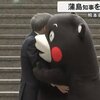 くまモン　蒲島知事を追いかけて転んで走って