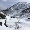 春の陽気に誘われて【金山沢BC】