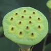  これは怖い
