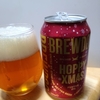 435 HOPPY XMAS