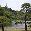 横浜の三渓園って、原三渓の私邸を開放した庭園！行ったことあるかな？横浜在住３０年で初訪問・・・