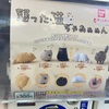 【怒った猫ちゃあぁぁん バンダイ 各300円 全5種】怒っている猫氏もなかなかにかわゆす