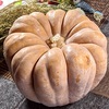 【ハロウィン🎃】丸ごとかぼちゃのグラタン ＆ 野菜の器deグラタン