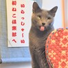 「初ねこ倶楽部」開催決定！