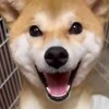 速報ユニ買えましたあ〜楽しみ