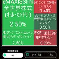 投資信託 オルカン戦略について考える