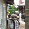 富士山・登頂〜！