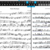ドイツのLugert Publishing社の「ScanScore 2」: 楽譜をスキャンし、編集および移調、そして再生まで可能にする楽譜専門スキャンソフトウェア 