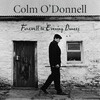 Colm O'Donnell, 'Farewell to Evening Dances'