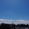 青い鳥、いずこへ？