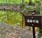 温身の池（山形県小国）