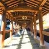 〖奈良〗長谷寺の6種類の直書き御朱印と見どころを徹底紹介