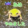 5/22営業します🪣💦