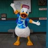 DCL西カリブクルーズ+WDW+DLR70th （8.DCLキャスタウェイケイ寄港）