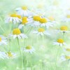 草枕旅行く君と知らませば･･･巻第1-69