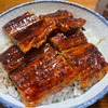 お家で鰻は最高ですよ