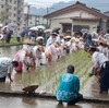 鹿児島神宮の御田植祭