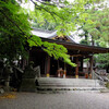 (武蔵)阿蘇神社　東京都羽村市羽加美4-6-7