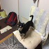 まろにー352日目