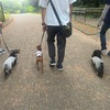2025年7月7日🐾 今日のマヤ暦
