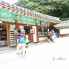 石窟庵～歴史の町　慶州で世界遺産を梯子する贅沢　その１