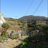 春待つ庭あれこれ★お殿様としもべ