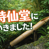 京都の詩仙堂に行きました！駐車場と御朱印まとめ｜迷わず行けた体験談つき