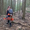 久しぶりに山で間伐