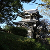 上越市 高田公園 ちょっと紅葉と妙高山の雪景色