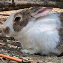 I.TK's blog