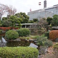 国会