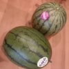 仕事が終わってスイカ🍉をパクつくこの瞬間が最高にしあわせ～(*´ω｀)