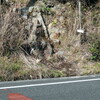 中山最高峰から大峰山へのリベンジハイキング（その４）十万辻峠