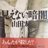 「見えない暗闇」　1995