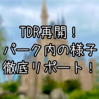21年版 Withコロナ 冬ディズニーの持ち物を一挙ご紹介 究極雨女ほのぷーのディズニー放浪記 21年版 Withコロナ 冬ディズニーの持ち物を一挙ご紹介 究極雨女ほのぷーのディズニー放浪記