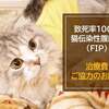 猫の重病FIPに【モルヌピラビル】動物病院・獣医さんに人気で売れてます。通関税関の手続きお任せ！