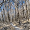 鳳凰三山方面(辻山)