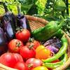 今、野菜を買うなら何か！〜2025年夏のおすすめ野菜とその魅力〜