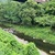 7月4日(金)秩父フライフィールドの河川情報