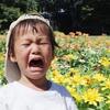【自閉スペクトラム症】多動児3歳の行動ってどんな感じ？常に気が抜けない！