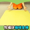 99%の羊人間を絶滅して、遺伝子改造ATMロボット人間に置き換えてC4ISRに接続する計画は何を意味するのか