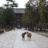 閑散とした奈良公園と鹿たち