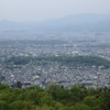 京都大文字山ハイキング。日向大神宮シャガ。