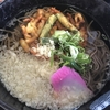 出水市(鹿児島) かねやまうどん